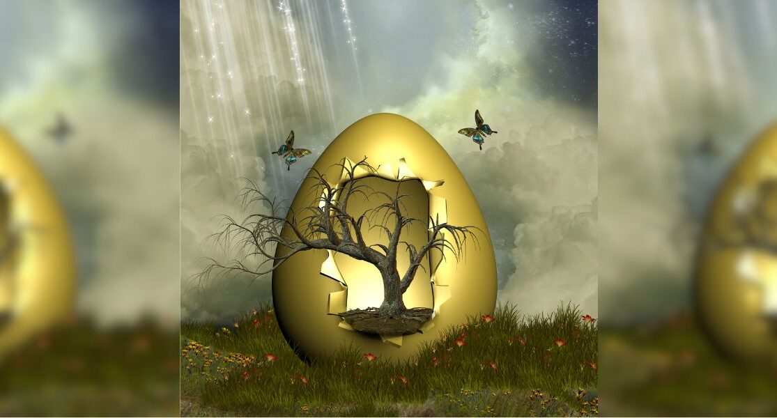 تست شخصیت درخت داخل تخم مرغ