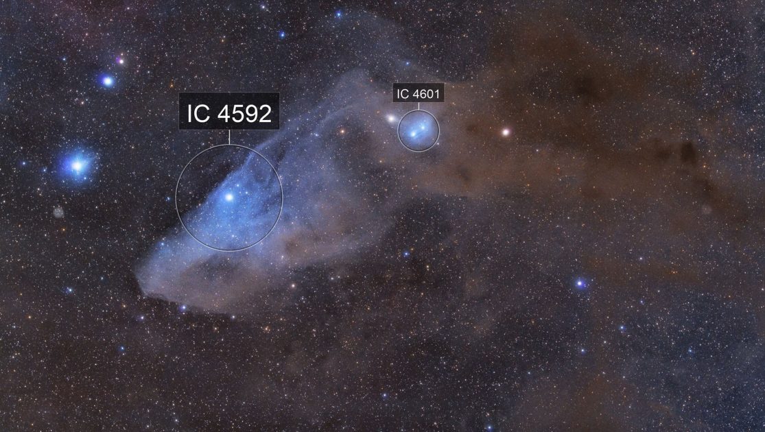 انتشار یک تصویر از سحابی بازتابی IC 4592 توسط ناسا